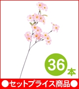 ［セットプライス］ｽﾌﾟﾚｲ ｼﾙｸ桜　36本セット