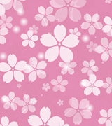 ロール幕　桜ピンク