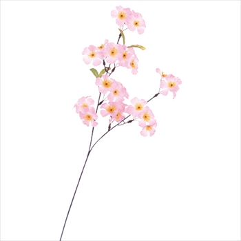 ｽﾌﾟﾚｲ ｼﾙｸ桜