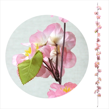 ｼﾙｸ桜ｶﾞｰﾗﾝﾄﾞ