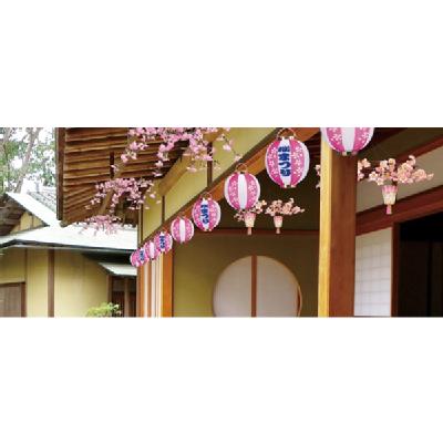 ｼﾀﾞﾚ桜ｾﾝﾀｰ