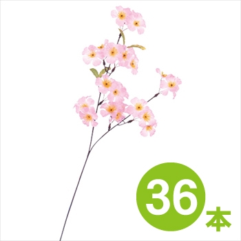 ［セットプライス］ｽﾌﾟﾚｲ ｼﾙｸ桜　36本セット