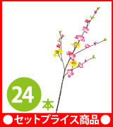 ［セットプライス］　ﾐｯｸｽｽﾌﾟﾚｲ 菜の花/桃　24本