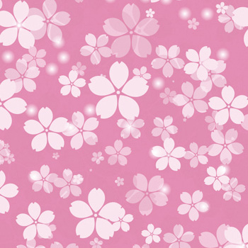 ディスプレイシート　桜ピンク