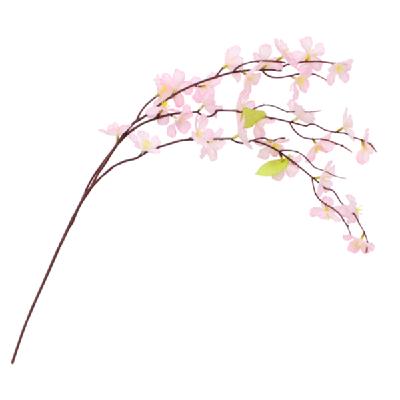 ミニシダレ桜